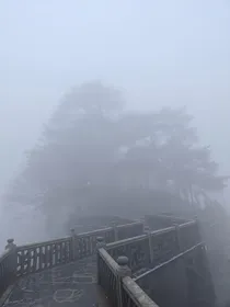 湖面之下（已完结）