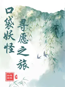 口袋妖怪：寻愿之旅