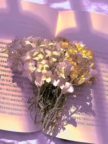 综影视：一诺倾情