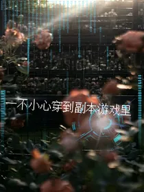 一不小心穿到副本游戏里