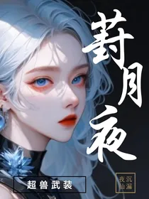 超兽武装：葑月夜