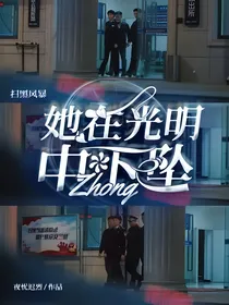 扫黑风暴：她在光明中下坠