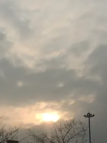 黑主