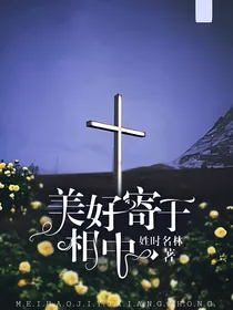 美好寄于相中