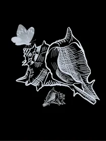 九月云泥，六月流星（少年派续）