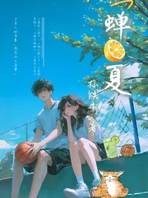 TF三代：蝉夏