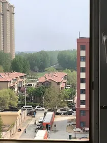 在樱花树下相拥