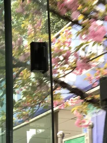 青春无惧，青春无悔