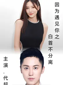 因为遇见你之白首不分离