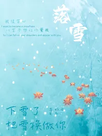 待到落雪时