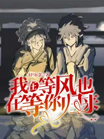 我在等风也在等你归来