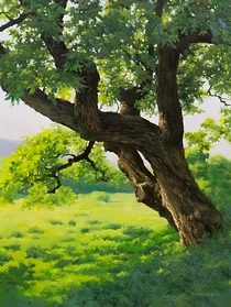 转生成树在异世界开后宫