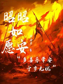 昭昭如愿安