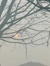沙海之保护我方小鸭梨
