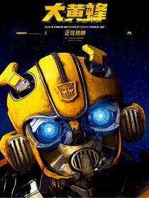 一群喵之变形金刚：大黄蜂