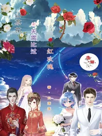 山茶花无需比过红玫瑰