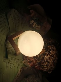 辞遇