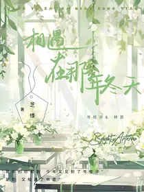 相遇在那年冬天