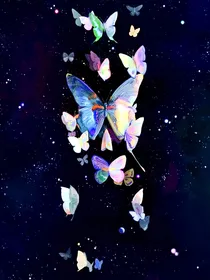 凹凸：绝对的法则