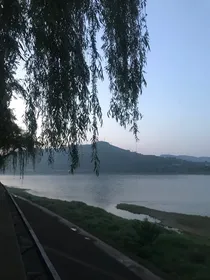 我这坎坷且幸运的一生