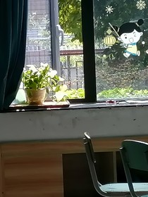 救命他有毒