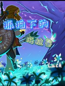 抓拍下的海拉鲁