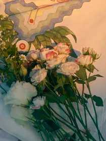 种朵小白花