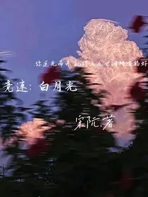 竞速：白月光