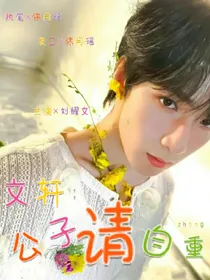 文轩：公子请自重