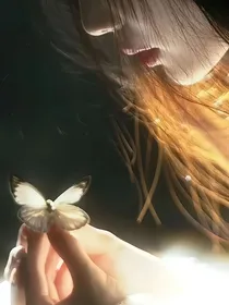 全明星：谈个计划恋爱