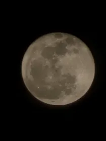 我的有关特校朋友圈