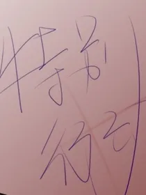 特别行动……
