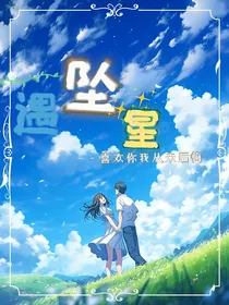 遇坠星