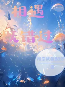 相遇既错过