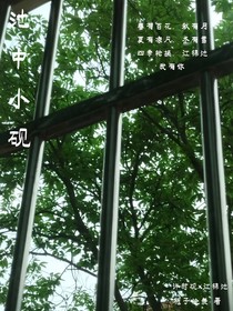 池中小砚