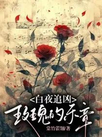 白夜追凶：玫瑰的乐章