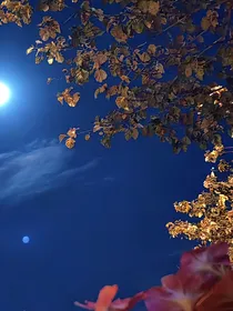 浊海映月