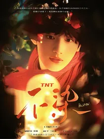 TNT：魔女她傲娇成性