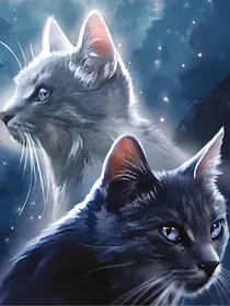 猫武士——盘月松鸦