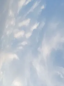 风吹风落