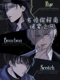 名侦探柯南：迷雾之风
