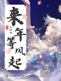 异世大陆之来年等风起