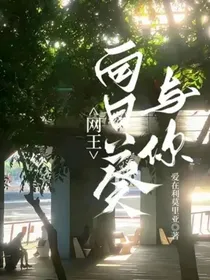 网王：向日葵与你