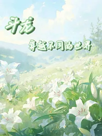斗龙：穿越不同的世界