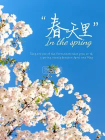 当特种兵学校全员穿越到蛋仔派对会怎么样？
