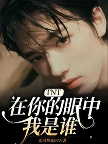 TNT：在你的眼中我是谁