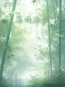 小桥观雨