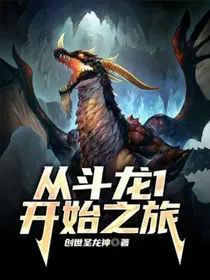从斗龙1开始之旅