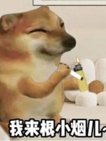 恐怖电影记录