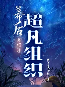 幕后：我捏造超凡组织